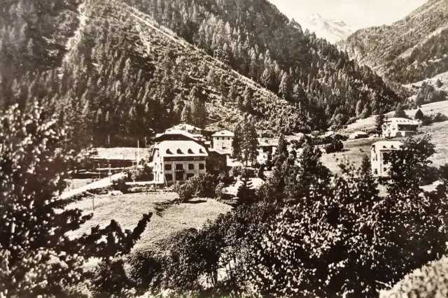 Cartolina - Antica Fonte Pejo ( Trentino ) - Alberghi - 1951