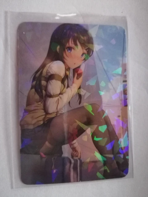 TCG Doujin Ecchi Tradingcard Anime Girl Sammelkarte Fan ACG Japanisch
