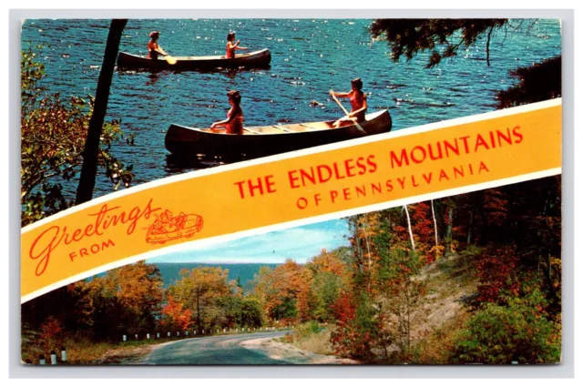 Postcard: PA Canoes Greetings From The Endless Mountains Pennsylvania - Unposted