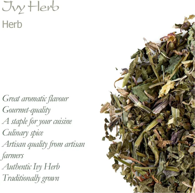 Ground Ivy Tea Organic Quality - Alehoof - Tunhoof - Catsfoot  - 100g