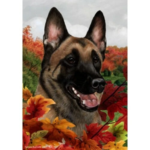 Fall Garden Flag (TB) - Belgian Malinois 132511