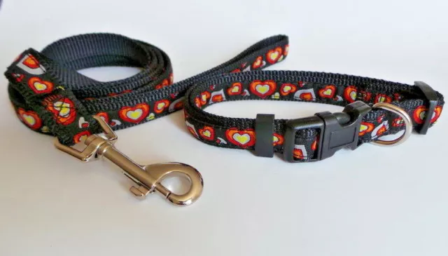 collier et laisse en nylon pour chien de taille moyenne