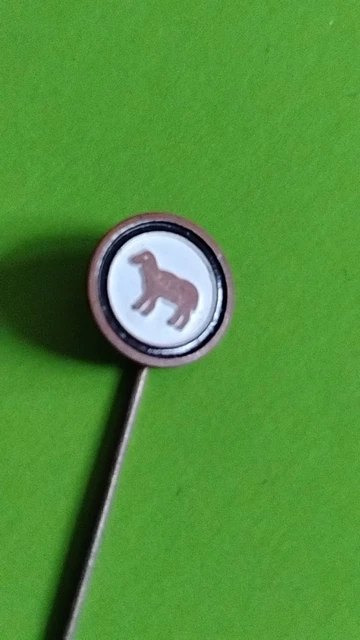 Pin's émaillé Royal Olympic Club De Charleroi - Badge Football Belgique