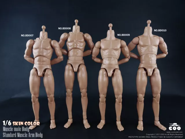 1/6 Scale COOMODEL Male Muscle Body Model BD010 Collectable Action Figure Toys 2