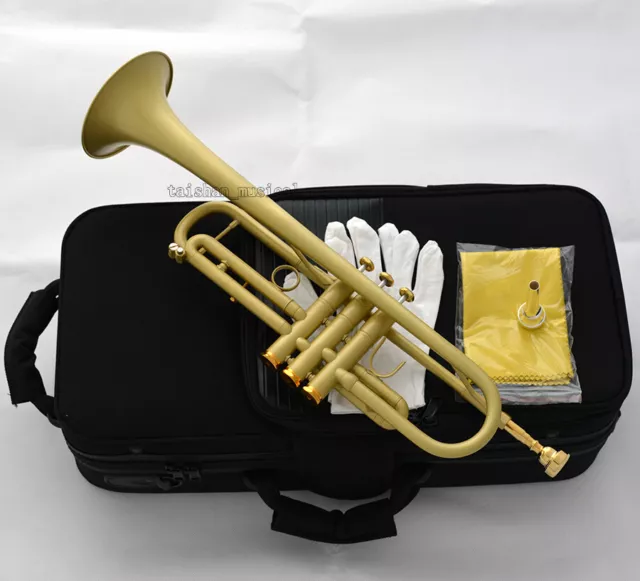 Professional Satin Lacquer Bb Trumpet Reverse Leadpipe With Case