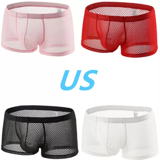 Mens See Through Mesh Boxer Briefs Sexy Low Rise Panties Lingerie Underwear