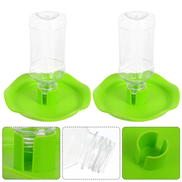2 set di utensili per animali alimentazione per animali uomo rettile