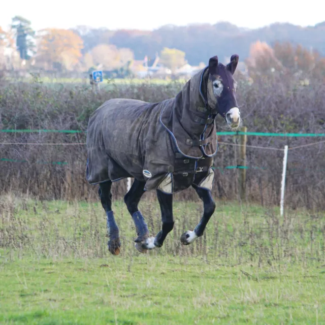 Turn Out Head for Horse - Large Black Zip - TRIED ON