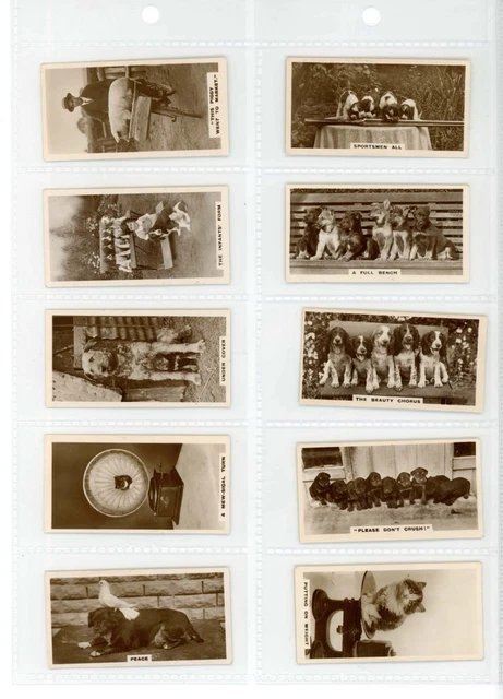 DE RESZKE CIGARETTE Cards REAL PHOTOGRAPHS (3rd Series) 1932 - Set of 27  £3.31