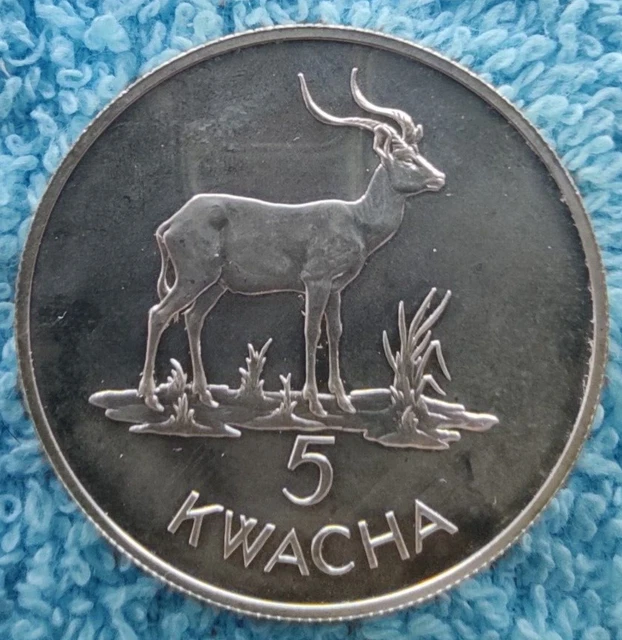 ZAMBIA 5 kwacha 1979 KM#18 SILVER 0.925-28.28 gr. (SC/UNC)