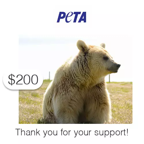 $200 Charitable Donation For: PETA's Vital Work to End Animal Suffering