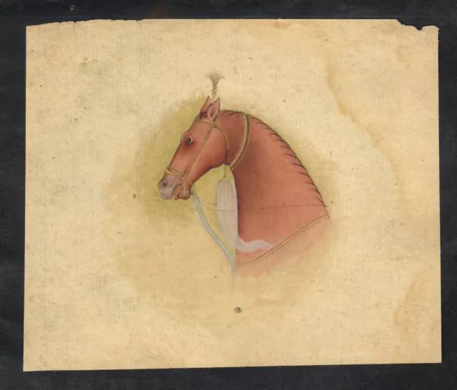 Main Peint Indien Peinture Miniature De Cheval Sur Papier Or & Gouache Œuvre