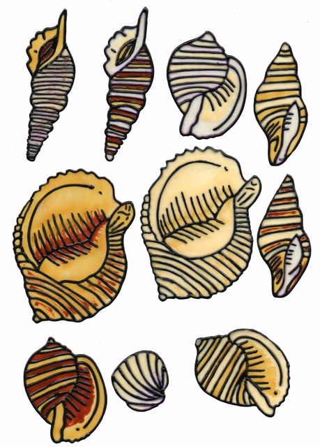 Window Color Bild Fensterbild Aufkleber  " 10 Muscheln  " 135