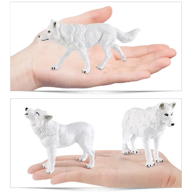 Simulation Animal World Simulation Wolf Model White Wolf Static Hand Made