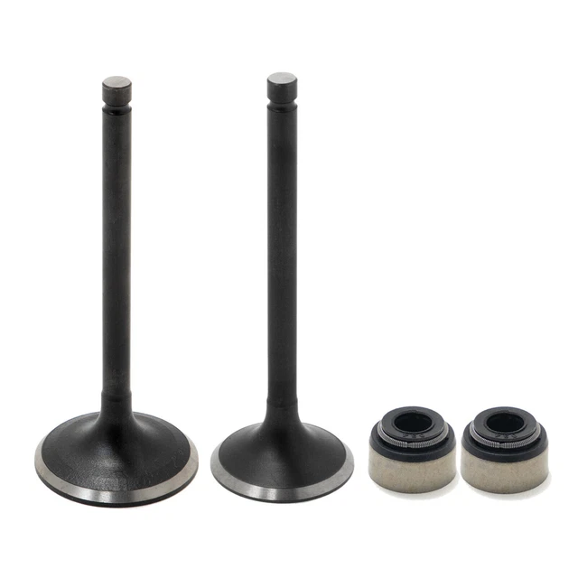 Soupape échappement admission et Joints Pour Yamaha 400 450 Grizzly Kodiak YFM