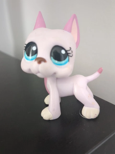 Littlest Pet Shop Hasbro - Chien Danois Ou Dogue Argentin (n°1688)