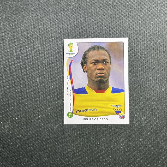 Panini Adrenalyn Premier League 2019 - 2020 Set De Tarjetas | Meses sin