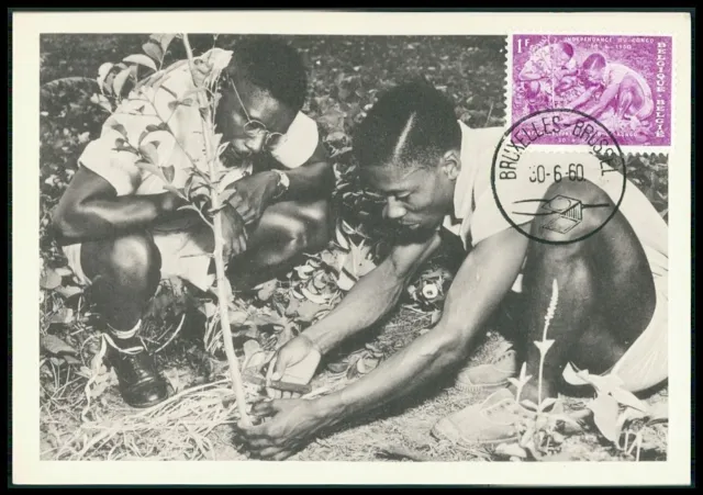 BELGIEN MK 1960 CONGO KONGO FORSTWIRTSCHAFT BAUM TREE CARTE MAXIMUM CARD MC bg34