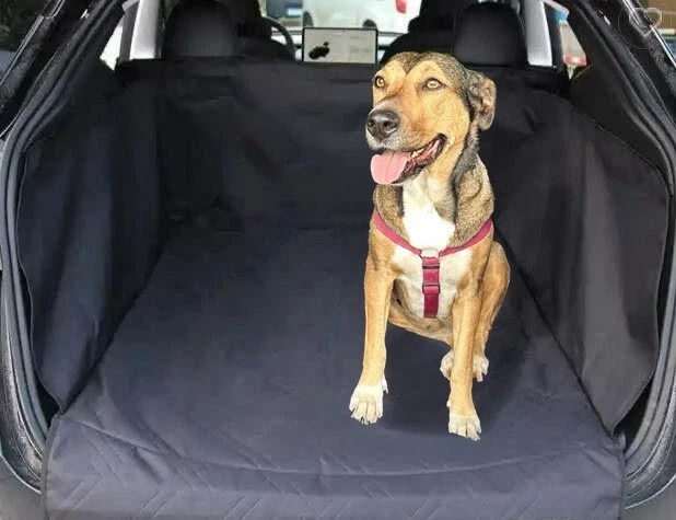 BOITE À PARTIR De Toit Coffre Transporteur Voiture Fabbri Box Nova 430 Blanc EUR 271,01