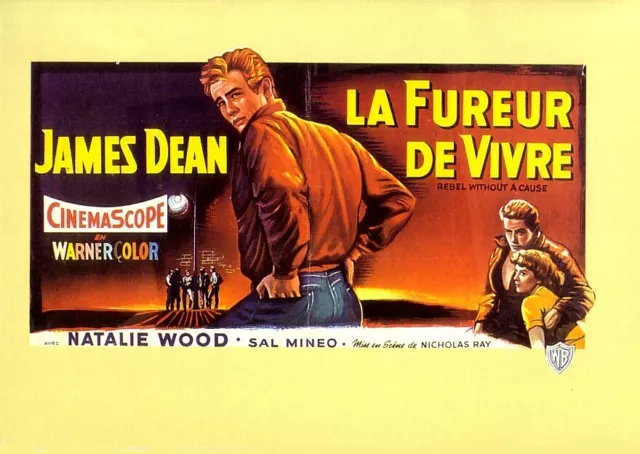 Affiche du film LA FUREUR DE VIVRE - Titre original : REBEL