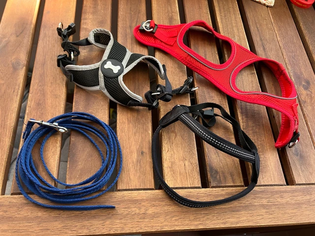 3 x Assorted Small Dog Puppy Harness + Training Lead. Pets At Home, Wilko.  Used