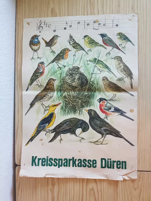 Werbeposter Kreissparkasse Düren - Singvögel