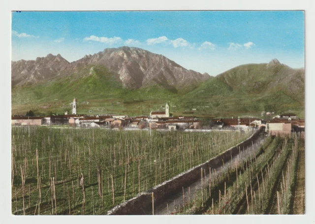 Frossasco Torino Cartolina Fg Vg - Ediz. Foto Gatti Fotocelere