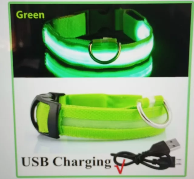 Collier pour chien lumineux fluoresent USB ou à pile CHOIX POSSIBLE