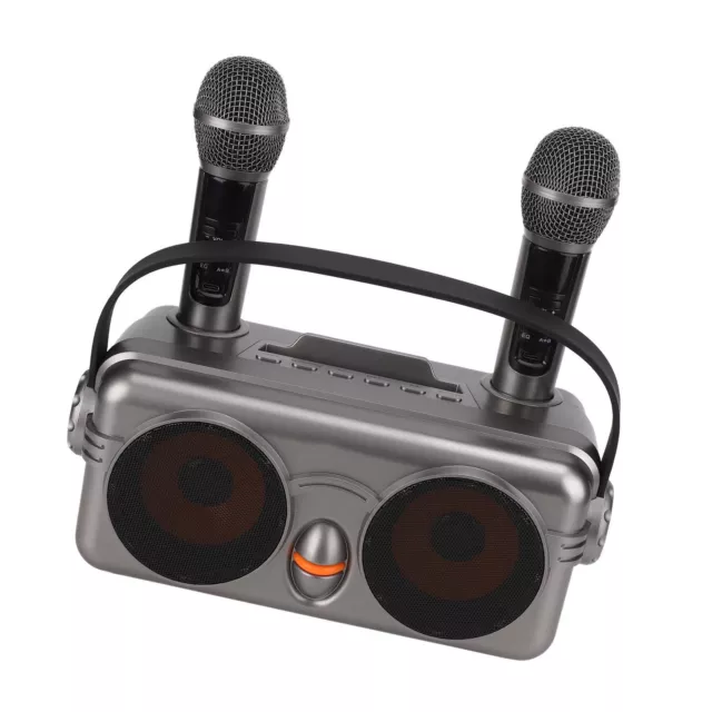 Portable Karaoke Speaker System Powerful Karaoke Machine With Dual AUS