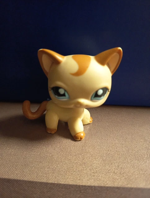 Figurine Petshop Chat Européen N°1643 – Occasion Pour Collection