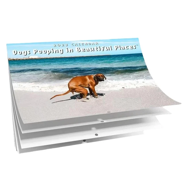 FOR FUNNY DOG Pooping Calendar 2023 Monthly Wall Hanging Calendar