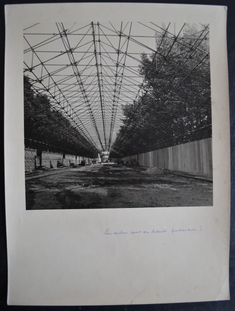 Foto Analogica Di Louis Peltier Parigi 1950 Pressa Notizie Zip Continental Coupé