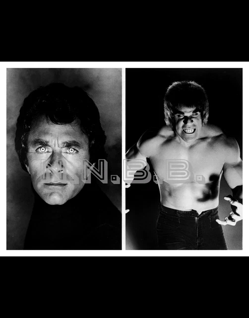 BILL BIXBY AND Lou Ferrigno The Incredible Hulk 10 X 8 Publicity Photo ...