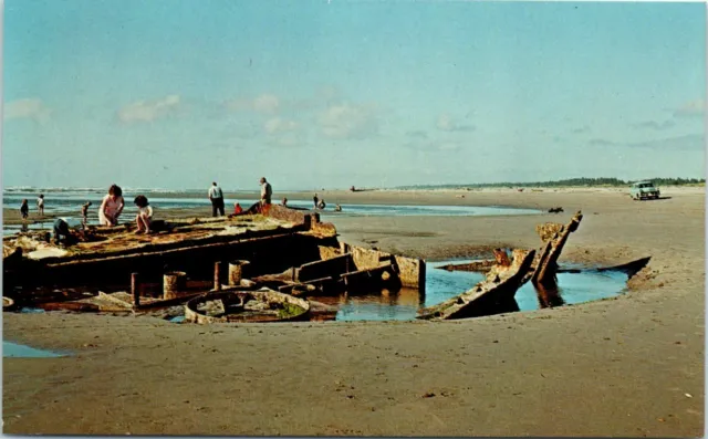 Vintage CA Postcard US Navy Intrepid Shipwreck Long Beach Peninsula Ship Remains