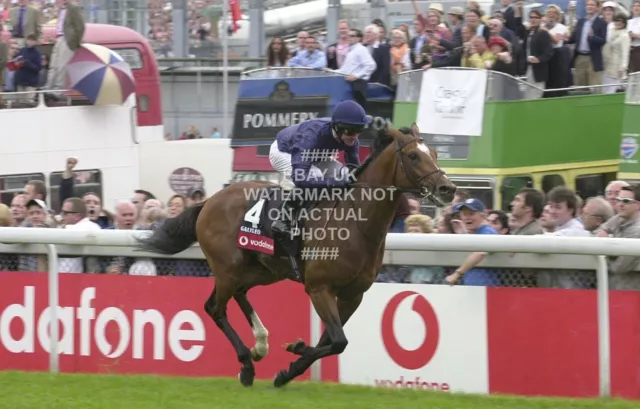 2001 Galileo Mick Kinane Epsom Derby Photo Print Horse Racing  2