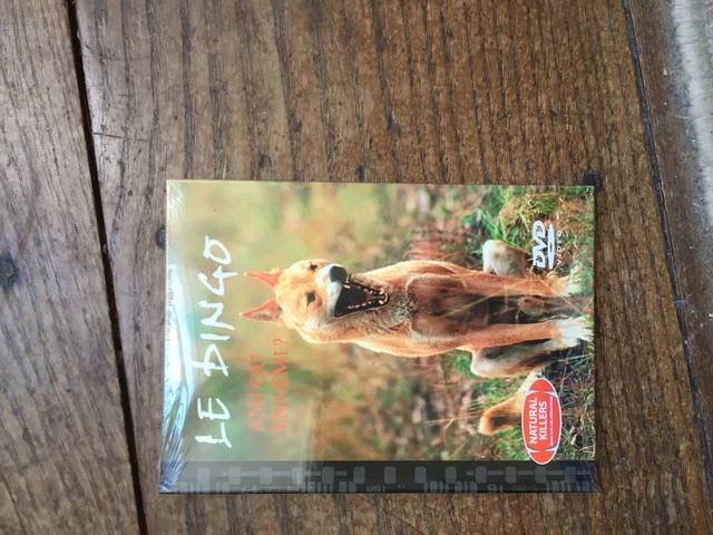 DVD DOCUMENTAIRE animaux natural killers 16 le dingo ami ou ennemi    NEUF