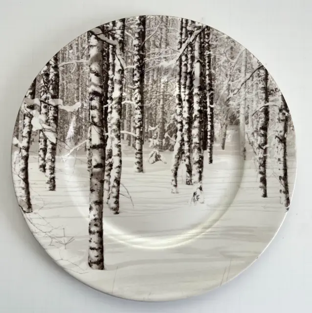 Pier 1 Imports Snow Birch Forest White Trees Dinner Plate