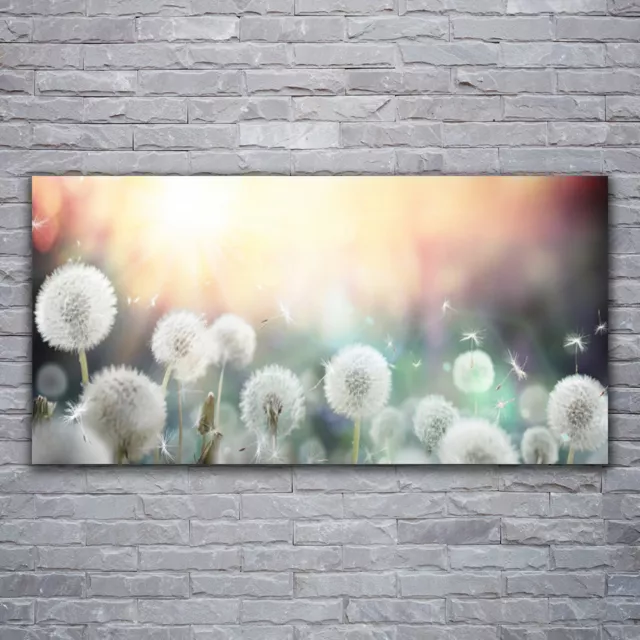 Glasbilder Wandbild Druck auf Glas 120x60 Pusteblume Pflanzen