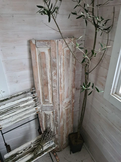 Alte Fensterläden Klappladen Shabby