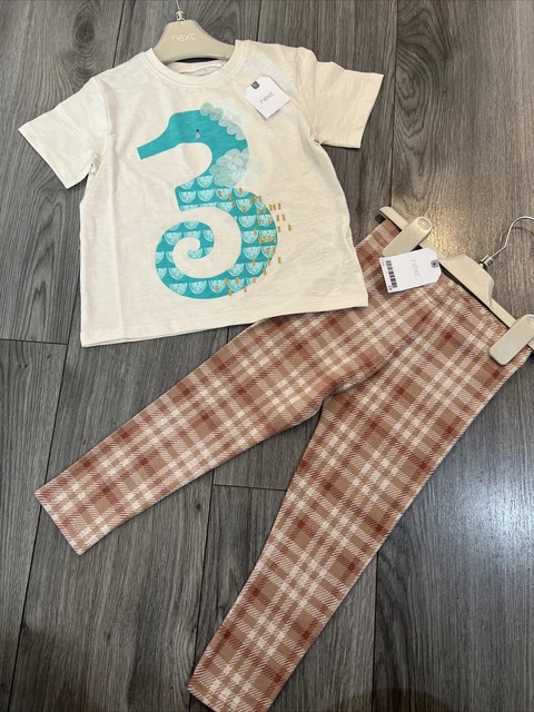 Next girls age 3-4 leggings and top outfit bundle BNWT