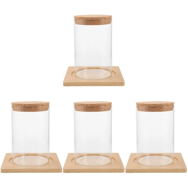 4 frascos de terrario de vidrio decorativo delicado para el hogar