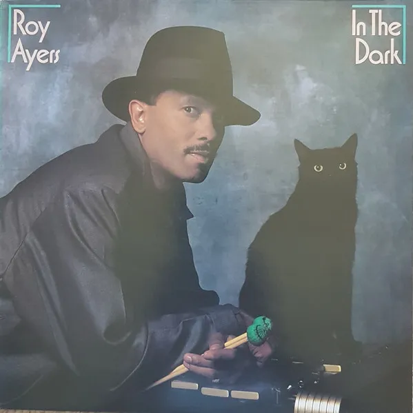 Roy Ayers - In The Dark - Used Vinyl Record - B34z