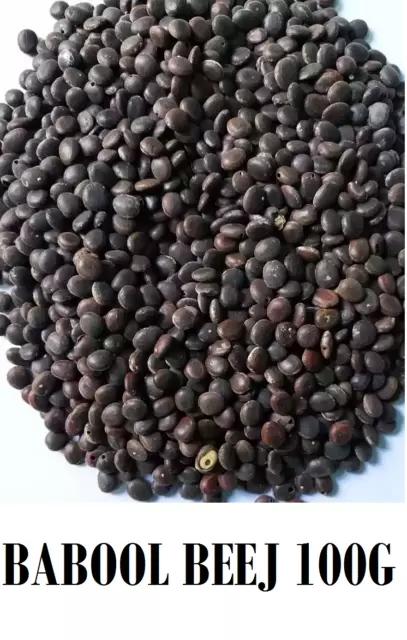 Babul seeds Live Fencing Tree Seeds Acacia nilotica seeds Babool Seeds 100g