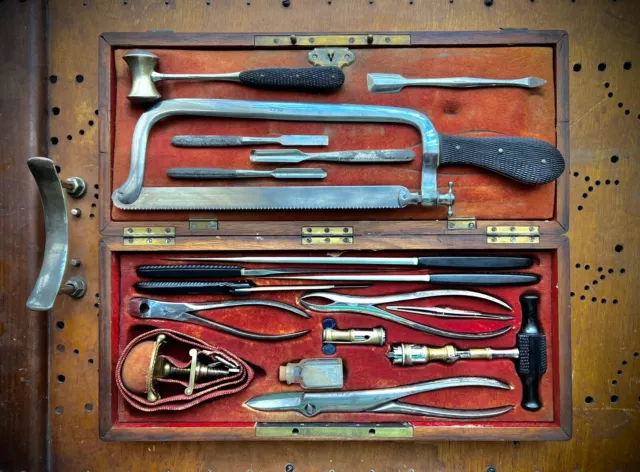Civil War Era Surgeon's Field Amputation Kit In Red Velvet Case Victorian Oddity Civil War Era Surgeon's Field Amputation Kit In Red Velvet Case Victorian Oddity