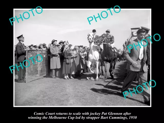 Old Large Horse Racing Photo Of Comic Court Winning The Melbourne Cup 1950