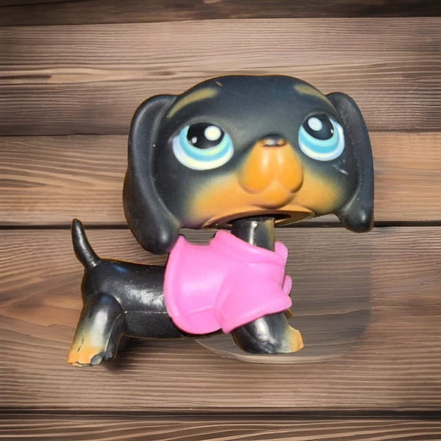 LPS Littlest Pet Shop #556 – Chien Teckel Original Hasbro – Authentique Et Rare
