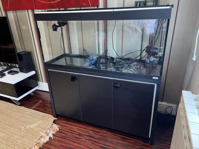 Fluval Roma 240 litre tank with stand and startup equipment