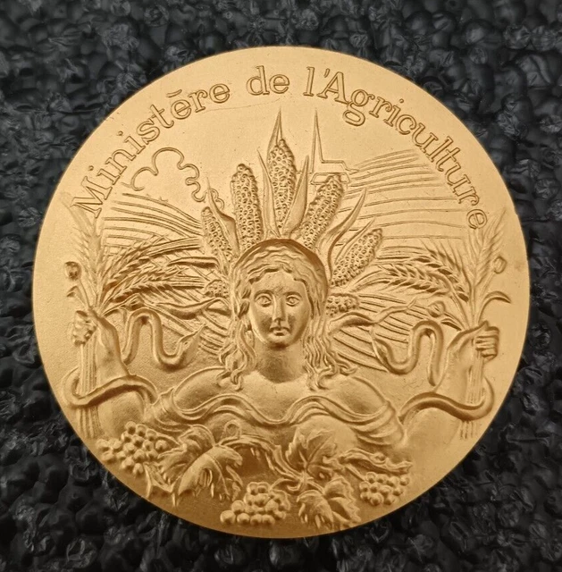 Médaille De Bronze Ministère De L'Agriculture - Science Labeur - 1928 - France