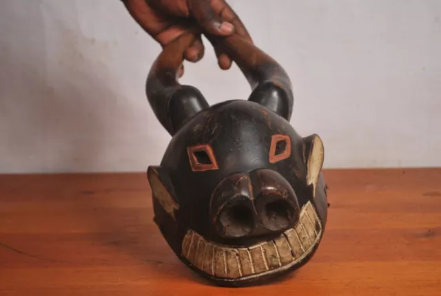 African Tribal Art,amazing Luba  animal  mask from Katanga region  DRC . 9