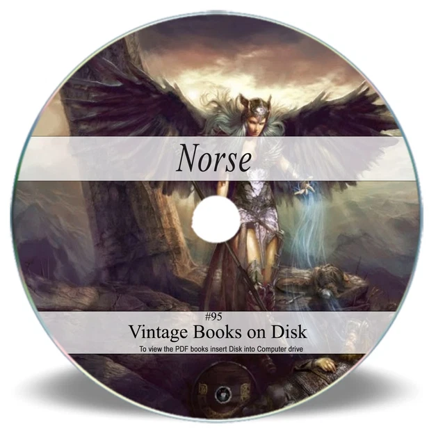 Subdued Rare Norse Viking Raven Runes Odin God of War ACU